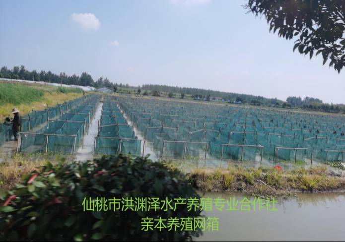 EVO视讯·(中国区)官方网站